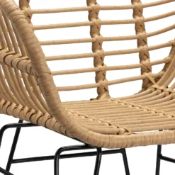 Ronnie Rattan Dining Chair - Set Of 2 -Furniture Haven Shop 13644186 1804997056966623