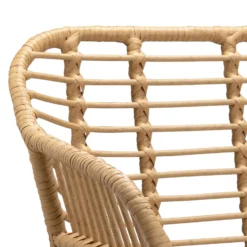 Ronnie Rattan Dining Chair - Set Of 2 -Furniture Haven Shop 13644186 6854997056909860